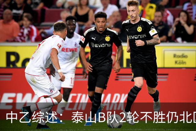中乙综述：泰山B队2轮不胜仍北区第2，贵阳竞技告负蒲公英战平