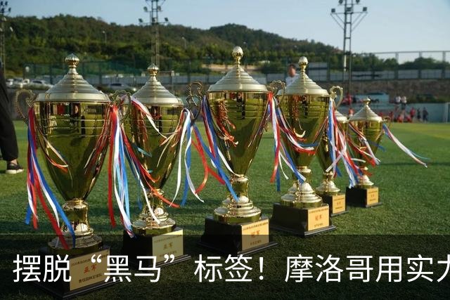 摆脱“黑马”标签！摩洛哥用实力突围 淘汰荷兰后战东道主