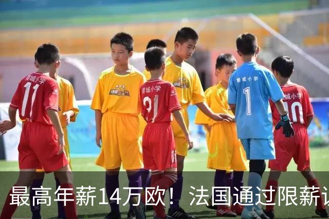 最高年薪14万欧！法国通过限薪议案，可能影响齐达内执教法国队